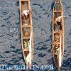 African Fishers