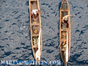 African Fishers