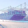 MSC Genova Alongside