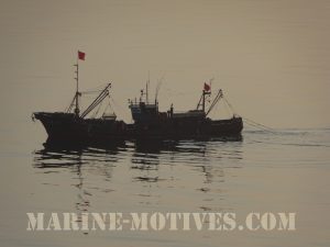 Chinese Fisherman
