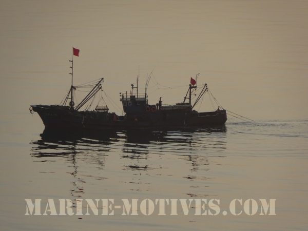 Chinese Fisherman