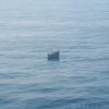 Chinese Fishing Boat