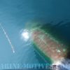 Flying Fish