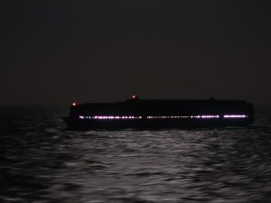 In the Dark