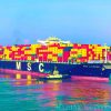 MSC Livorno I