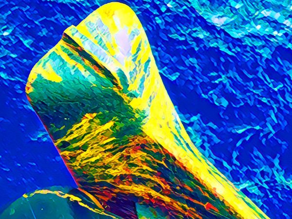 This photography with artwork filter shows the bulbous bow and the anchor of a big ship.