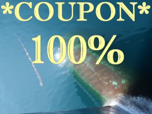% Gifts / Coupons