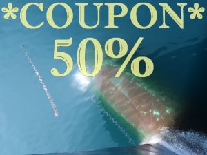Gift / Coupon for 50% off
